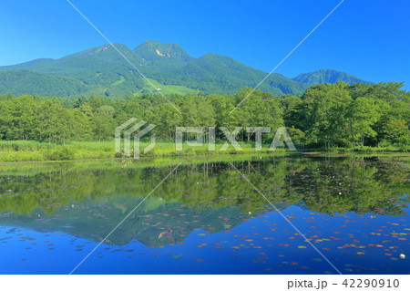 いもり池と妙高山 42290910