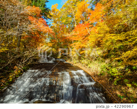 紅葉の白扇の滝 紅葉の白扇の滝 42290967