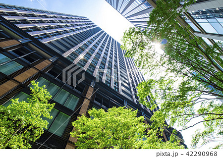 緑のあるオフィス街の風景 緑のあるオフィス街の風景 42290968
