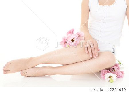 美しい女性の脚 美しい女性の脚 42291050