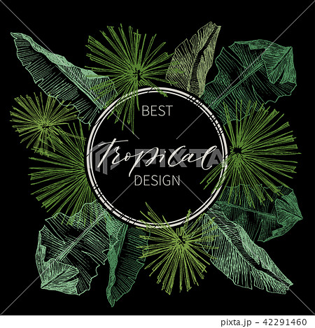 Tropical palm leaves. Jungle round illustration with monstera, aralia banana leaves. Design template 42291460