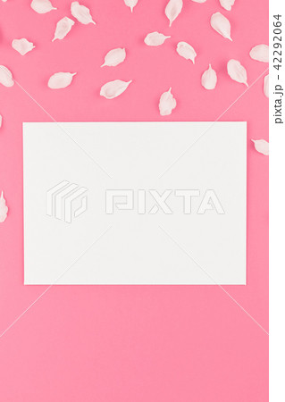 Flat lay of white postcard mock up with petals 42292064