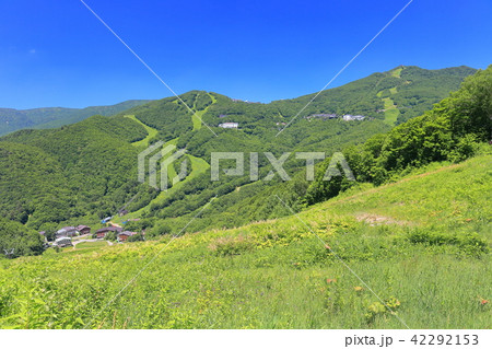 志賀高原　西館山と東館山 42292153