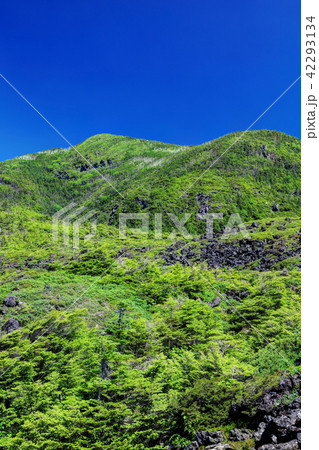 坪庭 坪庭 42293134