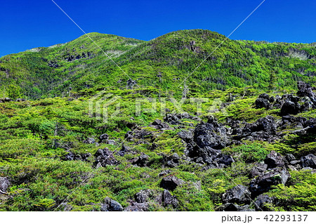 坪庭 坪庭 42293137