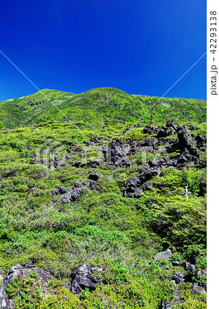 坪庭 坪庭 42293138