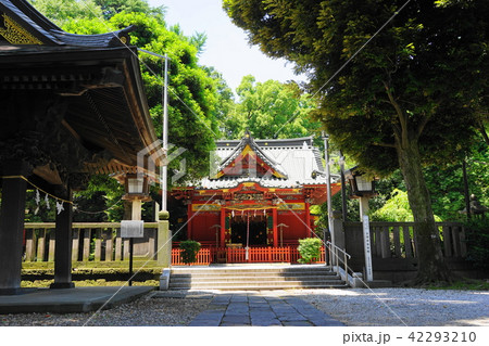 6月 本庄03金鑚神社恵比寿尊・中山道 6月 本庄03金鑚神社恵比寿尊・中山道 42293210