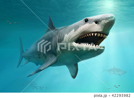 Megalodon scene 3D illustration 42293982