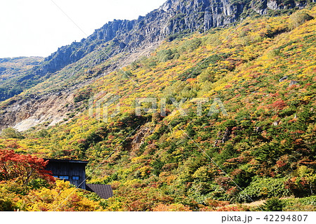 安達太良山の秋 紅葉 安達太良山の秋 紅葉 42294807