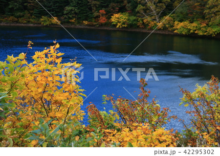 秋の吾妻山 浄土平 桶沼トレッキング 秋の吾妻山 浄土平 桶沼トレッキング 42295302