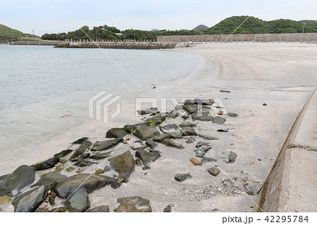 小浦海水浴場 小浦海水浴場 42295784