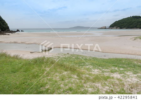 高浜海水浴場 高浜海水浴場 42295841