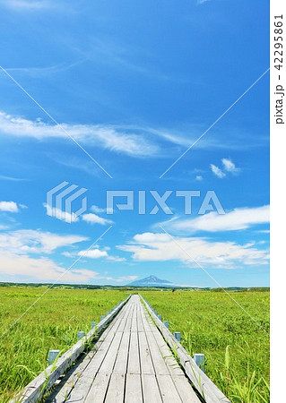 北海道　青空のサロベツ原野と利尻富士 42295861