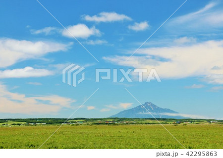 北海道　青空のサロベツ原野と利尻富士 42295863