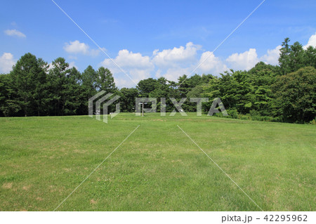 特別史跡　尖石石器時代遺跡　尖石遺跡 42295962