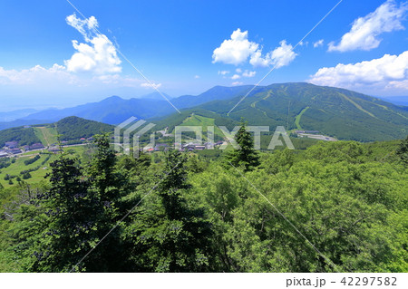 志賀高原　焼額山と西館山 42297582