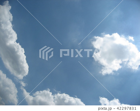 空 空 42297831
