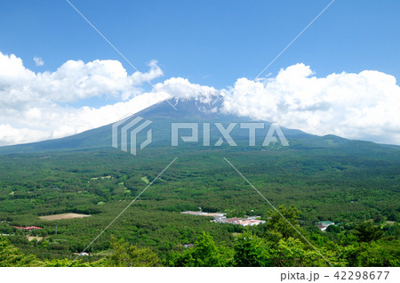 紅葉台から眺める富士山と青木ヶ原樹海 42298677