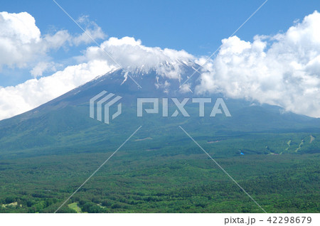 紅葉台から眺める富士山と青木ヶ原樹海 42298679
