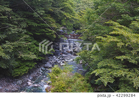 【徳島県・観光名所】奥祖谷二重かずら橋 【徳島県・観光名所】奥祖谷二重かずら橋 42299284