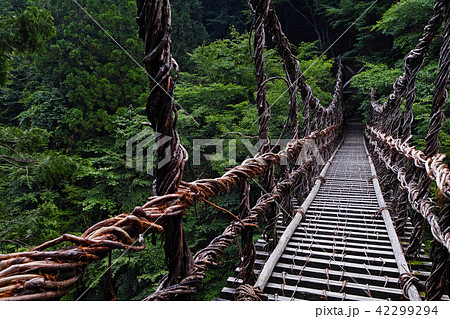 【徳島県・観光名所】奥祖谷二重かずら橋 コピースペース 【徳島県・観光名所】奥祖谷二重かずら橋 コピースペース 42299294