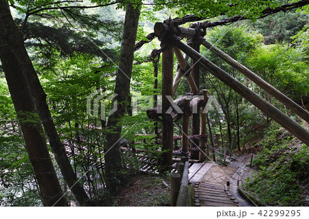 【徳島県・観光名所】奥祖谷二重かずら橋 42299295