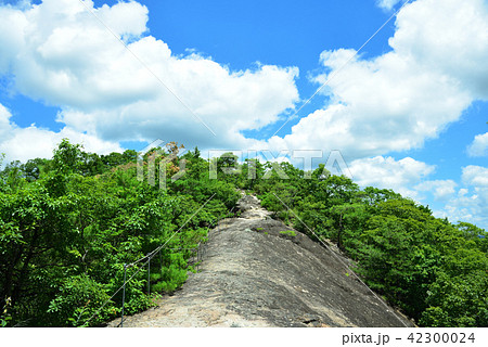 宝塚市　西谷の森公園　馬の背と青空 42300024