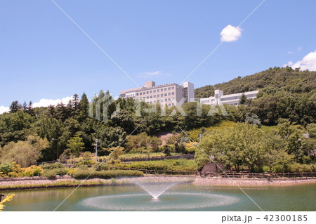 大阪青山大学 42300185