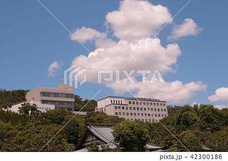 大阪青山大学 大阪青山大学 42300186