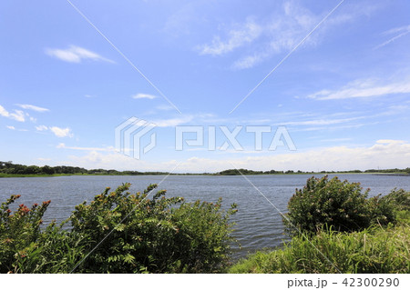 多々良沼(群馬県) 多々良沼(群馬県) 42300290