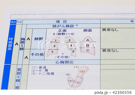 健康診断 イメージ 呼吸器系の写真素材