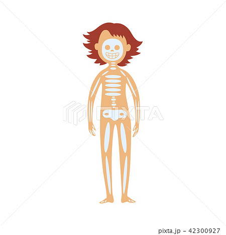 Human skeleton in female body - schematic image of location of of skull, spine and bones. Human skeleton in female body - schematic image of location of of skull, spine and bones. 42300927