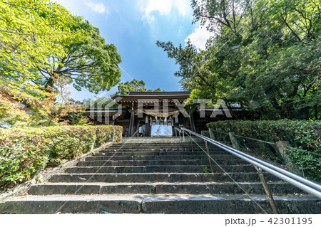 菊池神社 菊池神社 42301195