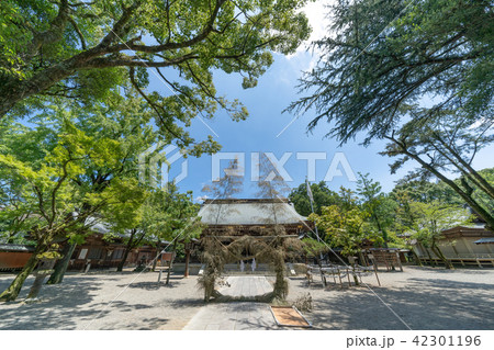 菊池神社 42301196