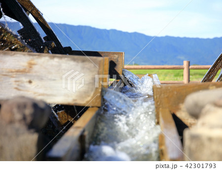 福岡県朝倉市　三連水車 42301793