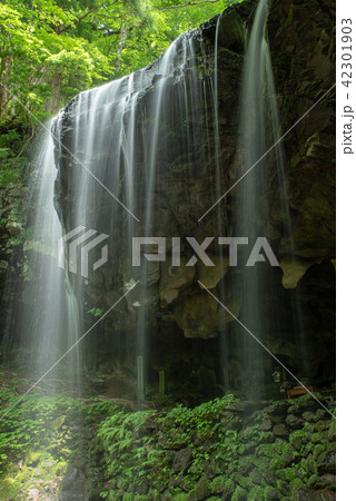 岩井の滝～初夏～ 42301903