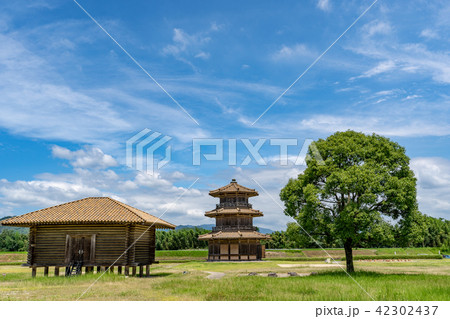 歴史公園　鞠智城 42302437