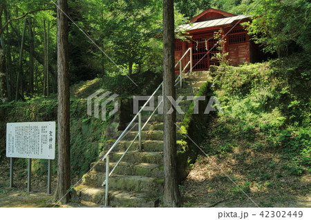 聖神社 42302449