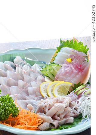 アコウ、キジハタで酒を飲む アコウ、キジハタで酒を飲む 42302745