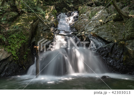 五塔ノ滝 42303013