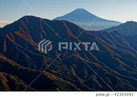 道志山地・今倉山稜線から見る月明かりの富士山と御正体山 道志山地・今倉山稜線から見る月明かりの富士山と御正体山 42303092