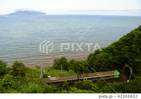 函館山をバックに津軽海峡と特急スーパー白鳥（789系+785系） 42303632