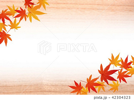 濃いべニア板と紅葉 濃いべニア板と紅葉 42304323