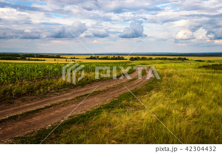 Сountry road in autumn fields 42304432