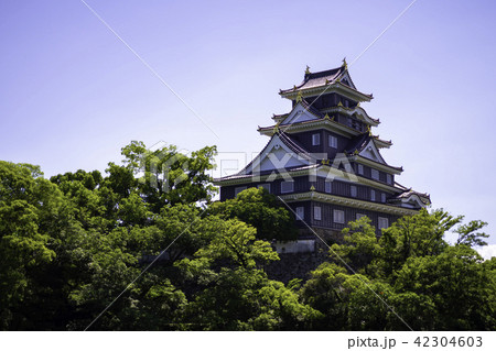 岡山城 岡山城 42304603