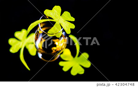 Single malt whisky in a glass of tasting Single malt whisky in a glass of tasting 42304748