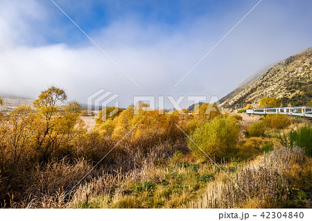 Tranzalpine train in New Zealand mountains 42304840