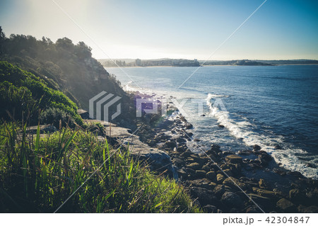 Manly Beach coastal cliffs, Sydney, Australia Manly Beach coastal cliffs, Sydney, Australia 42304847