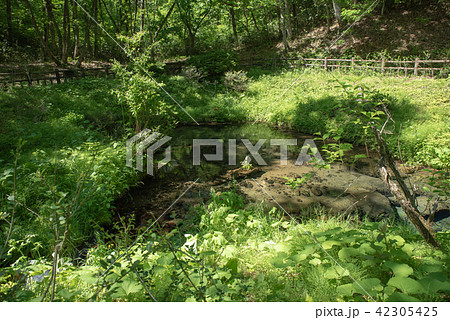 名水百選~塩釜冷泉~ 名水百選~塩釜冷泉~ 42305425