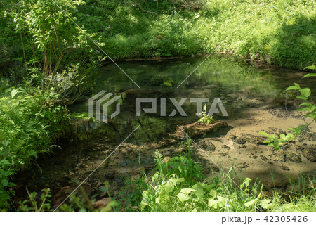 名水百選～塩釜冷泉～ 42305426